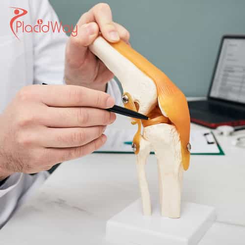 Stem Cell Therapy for Meniscus Injury in Japan: Things to Know